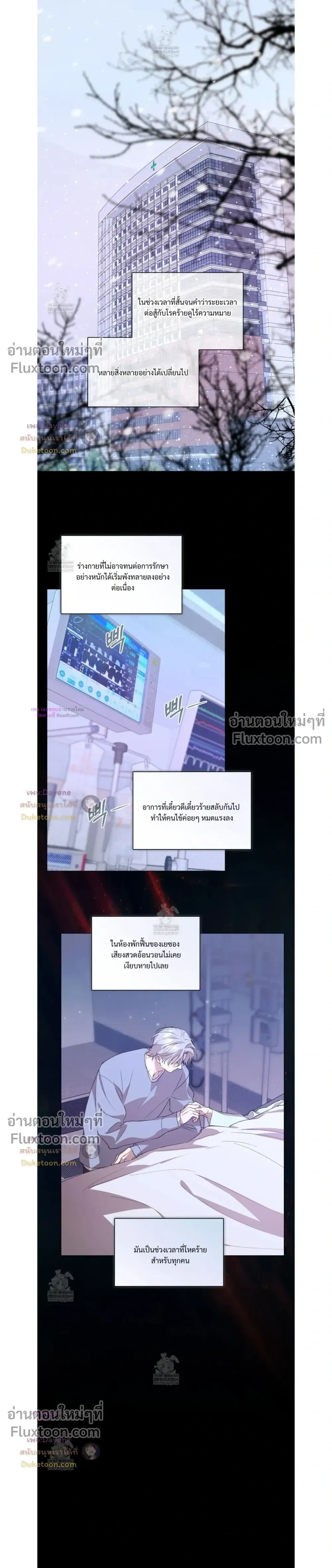 หน้าที่ 13