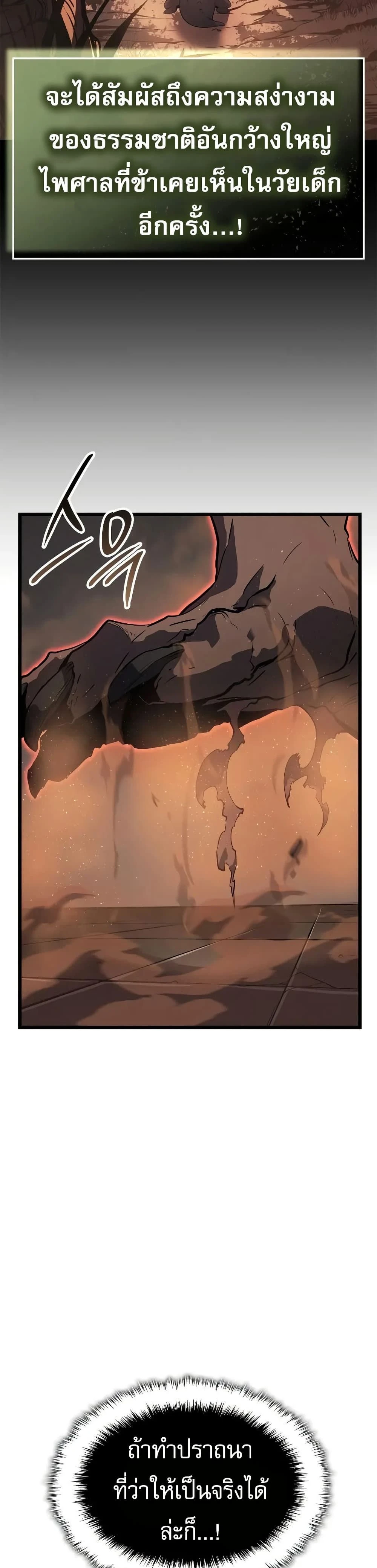 หน้าที่ 31