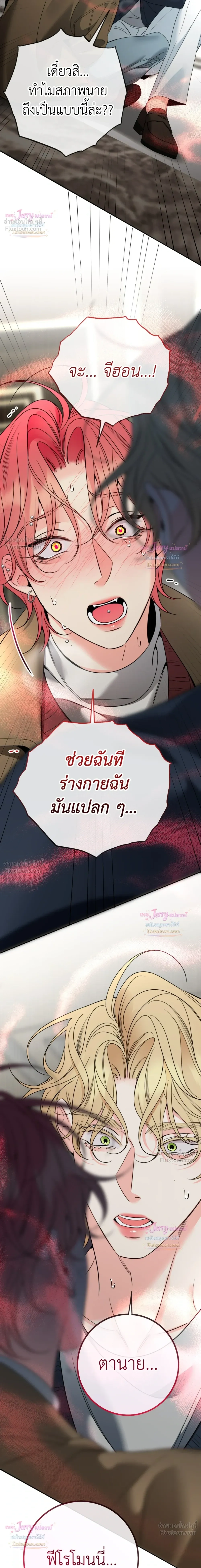 หน้าที่ 17