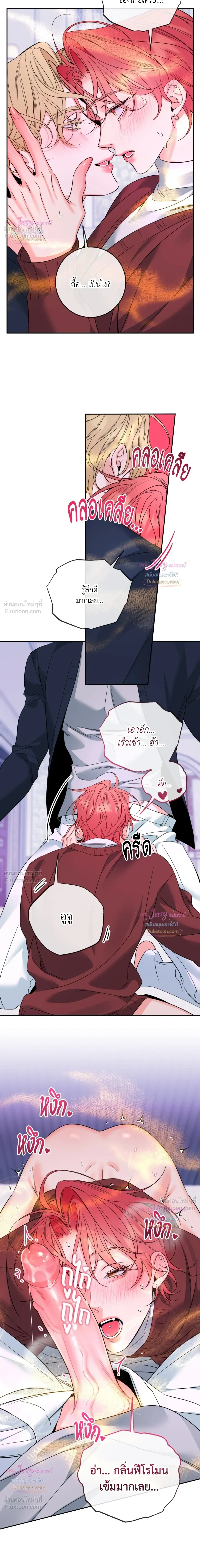 หน้าที่ 11