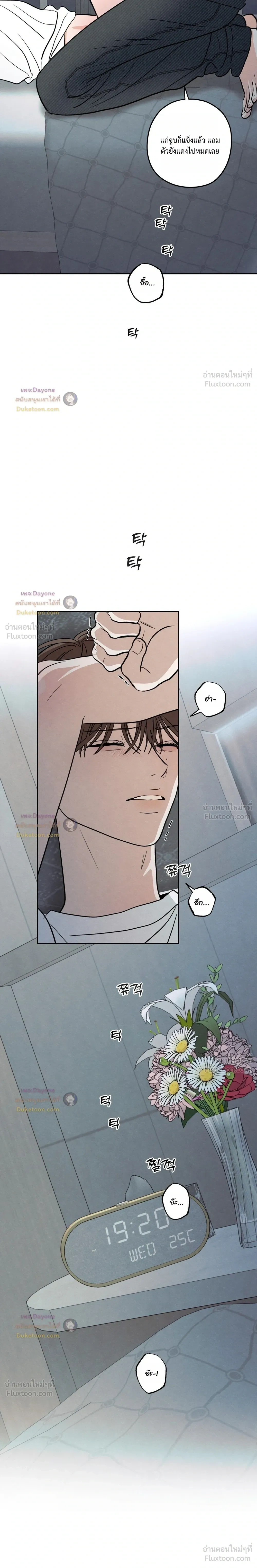 หน้าที่ 11