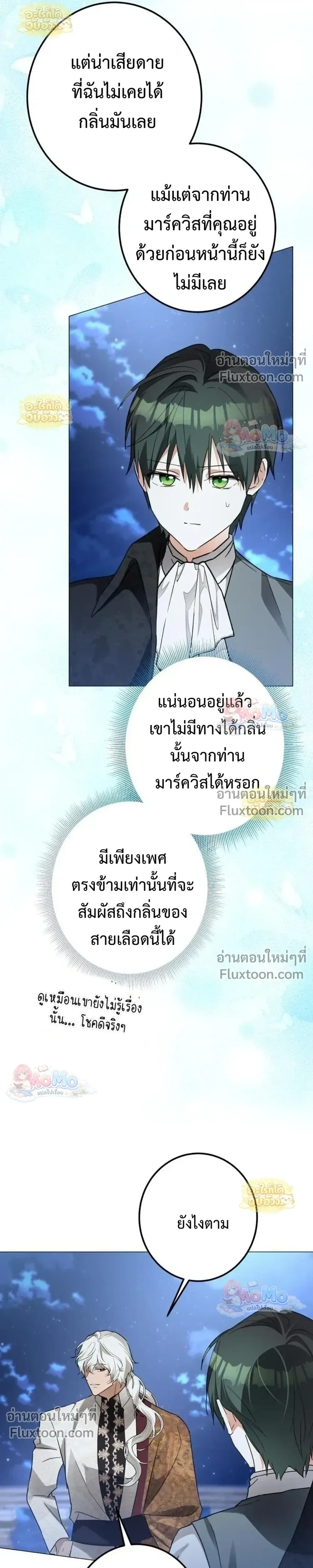 หน้าที่ 29