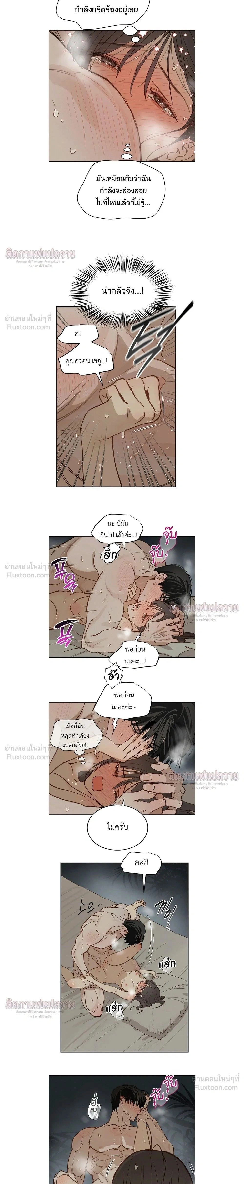 หน้าที่ 17