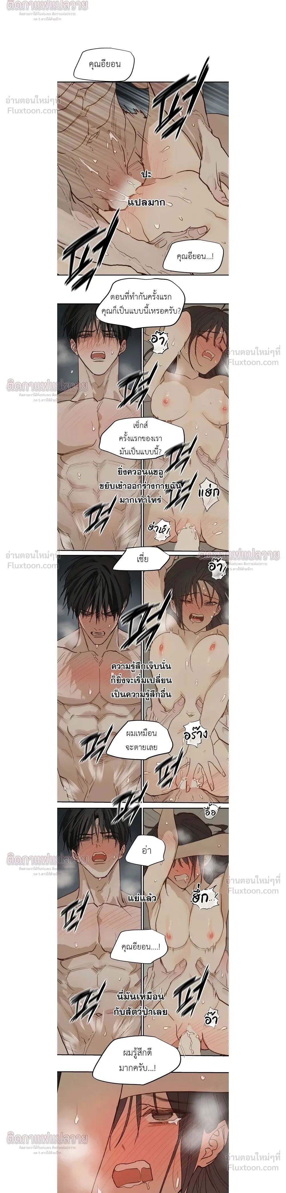 หน้าที่ 14