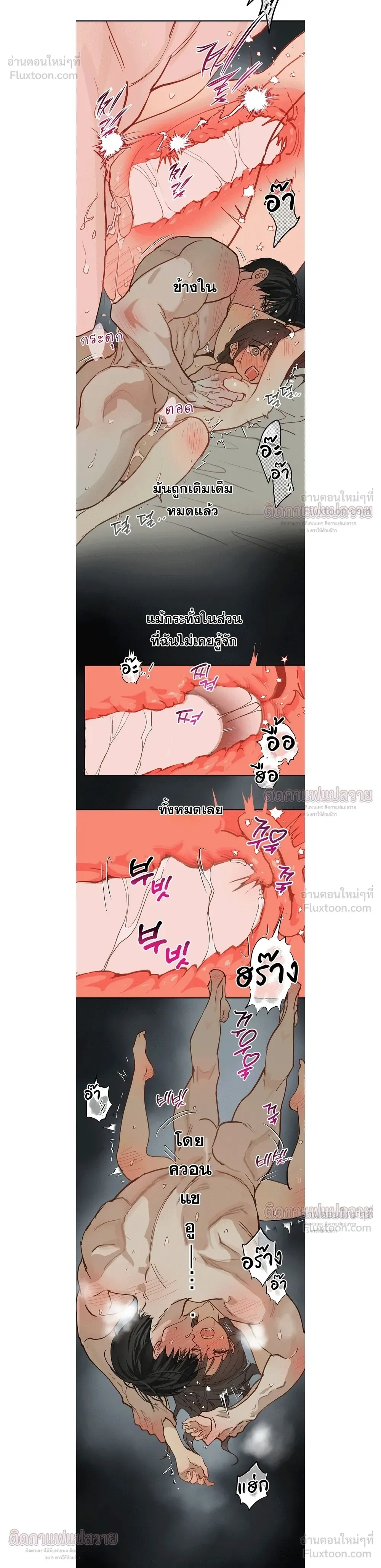 หน้าที่ 11