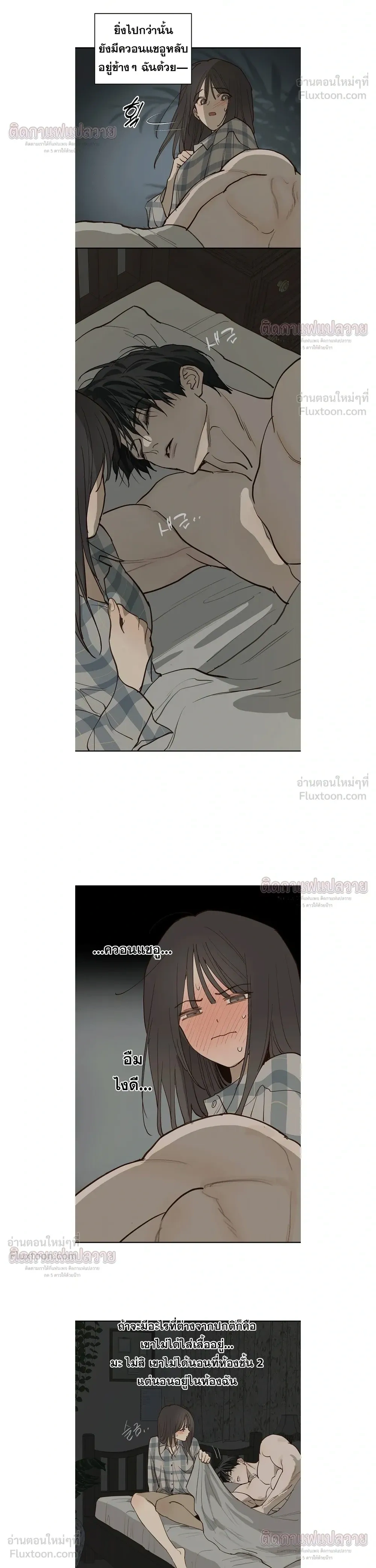 หน้าที่ 13