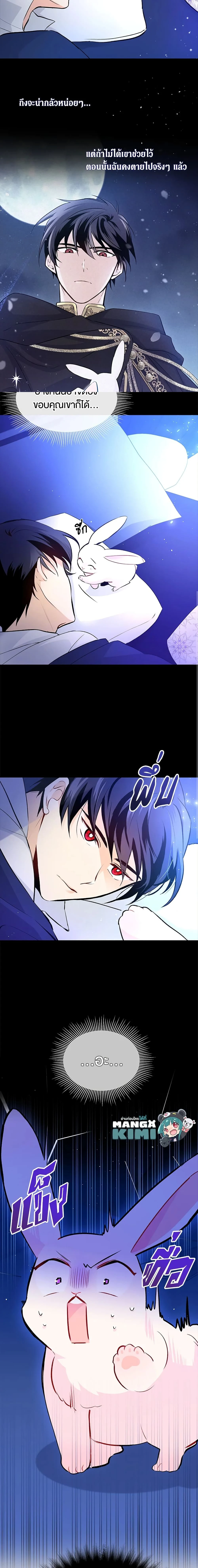 หน้าที่ 13