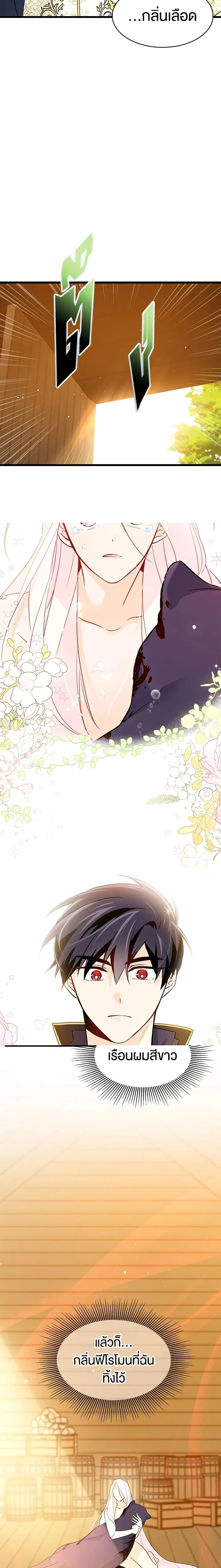 หน้าที่ 17