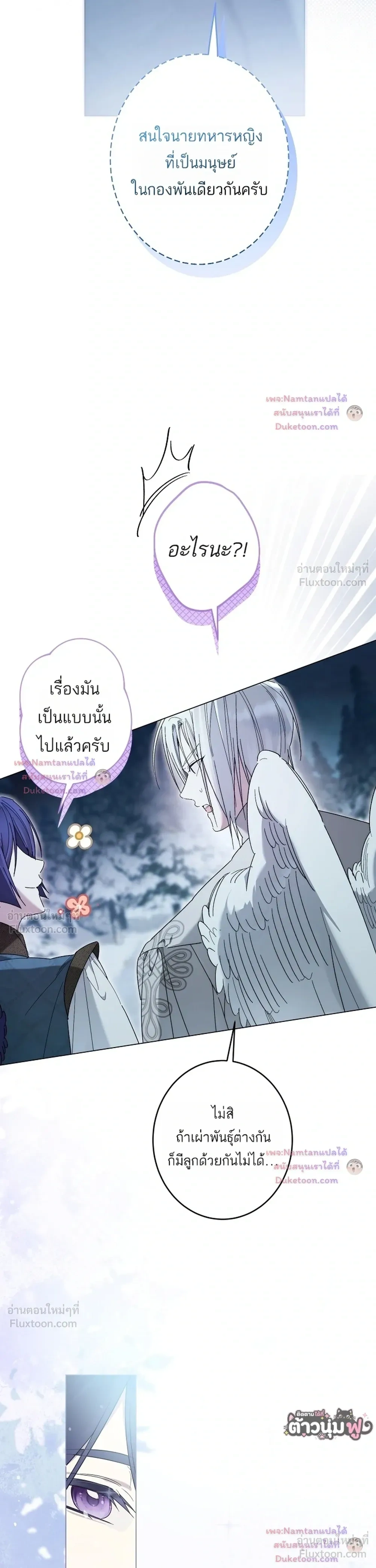 หน้าที่ 29