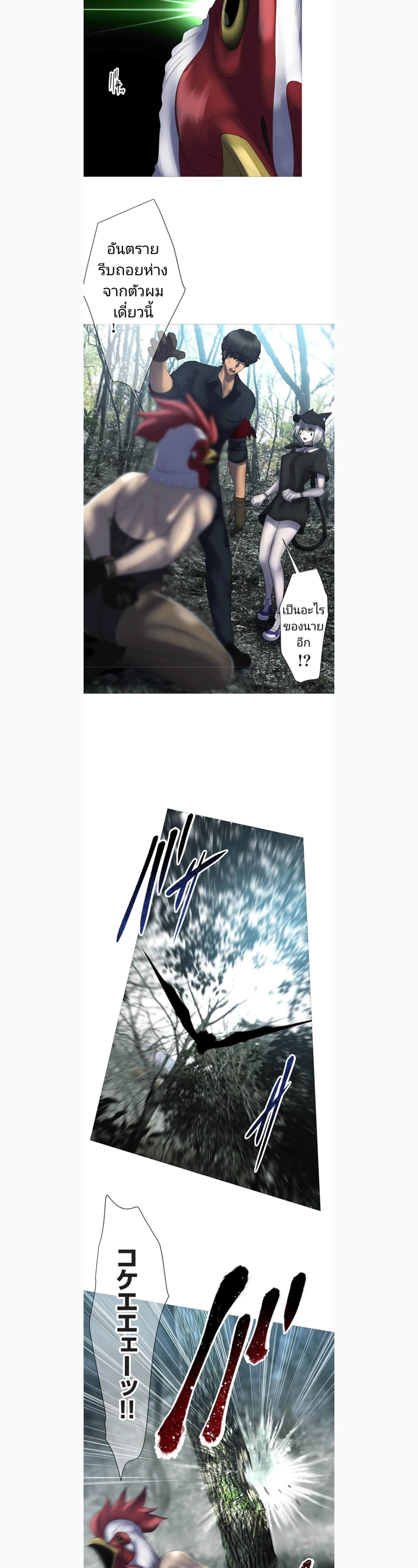 หน้าที่ 13