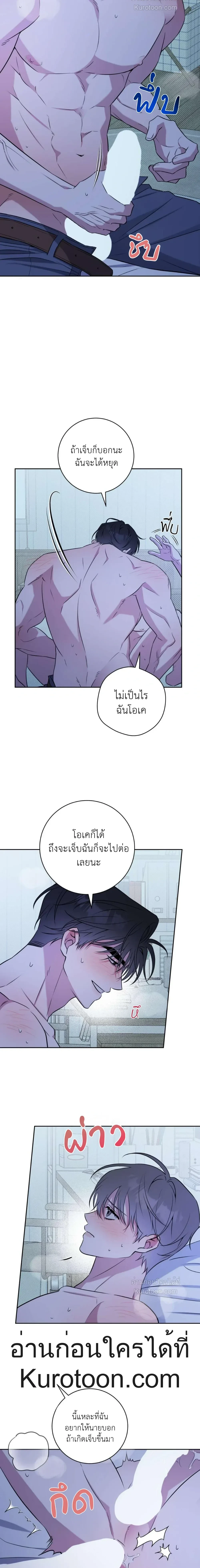 หน้าที่ 17