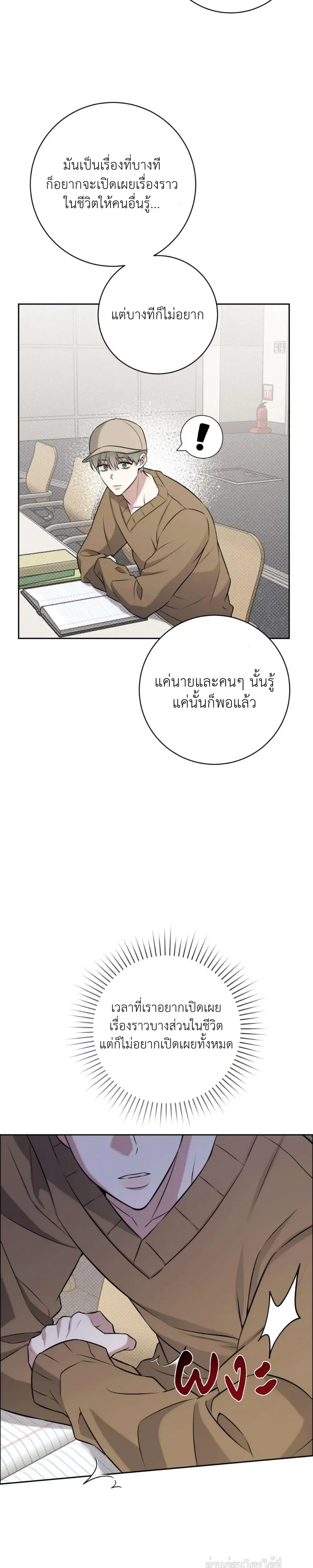 หน้าที่ 17