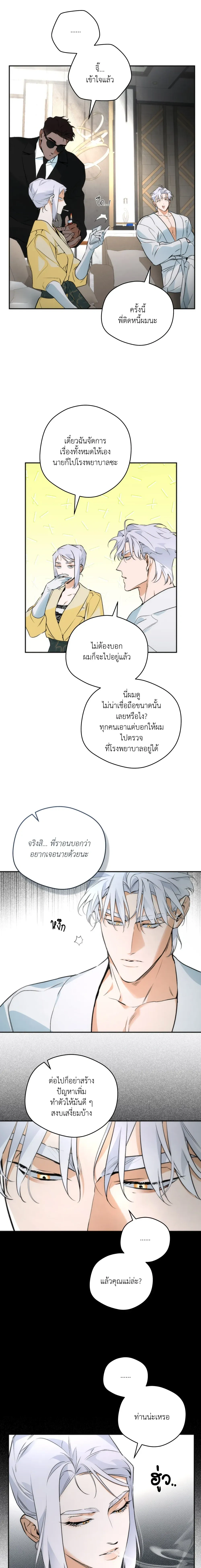 หน้าที่ 11