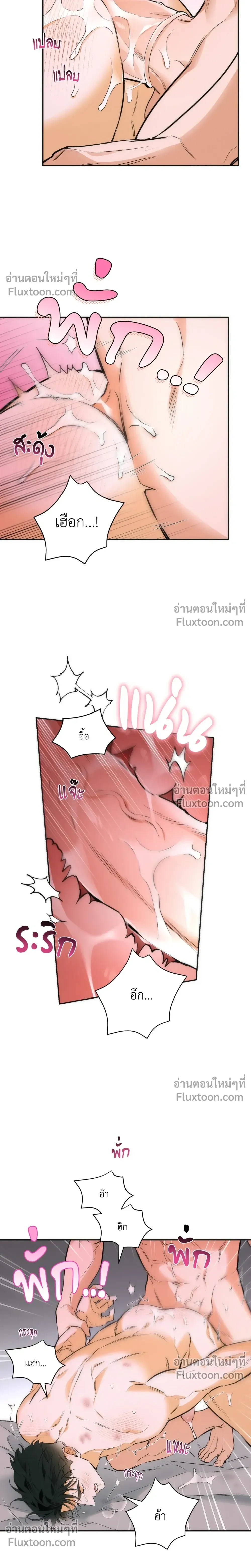 หน้าที่ 13