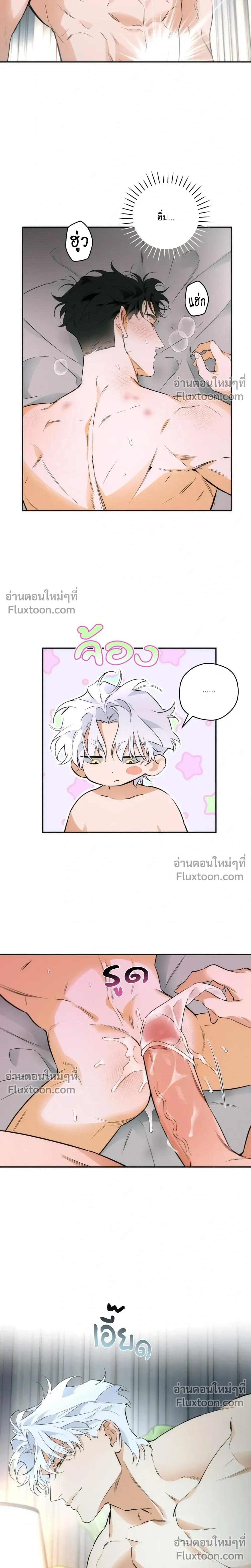 หน้าที่ 24