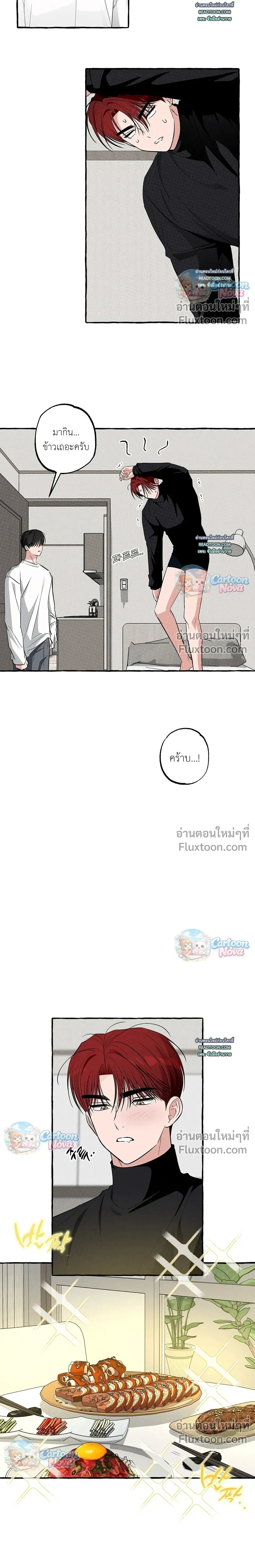 หน้าที่ 13