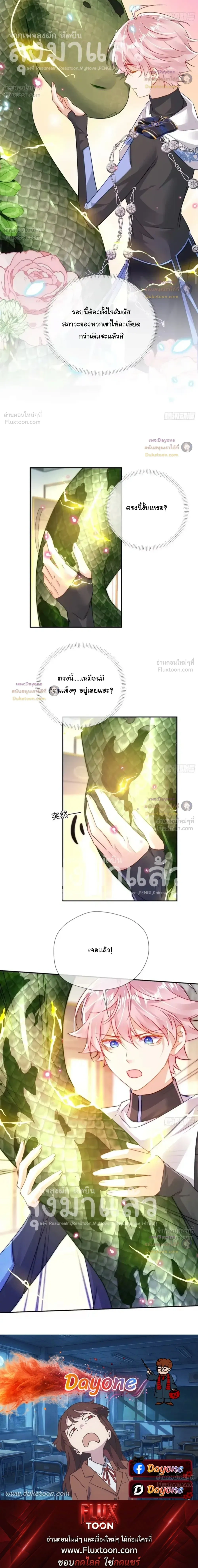 หน้าที่ 13