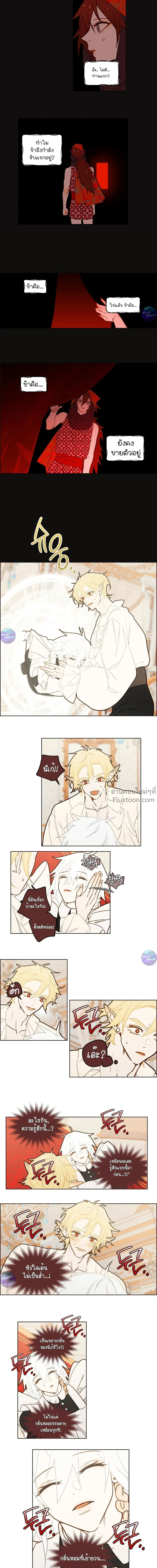 หน้าที่ 11