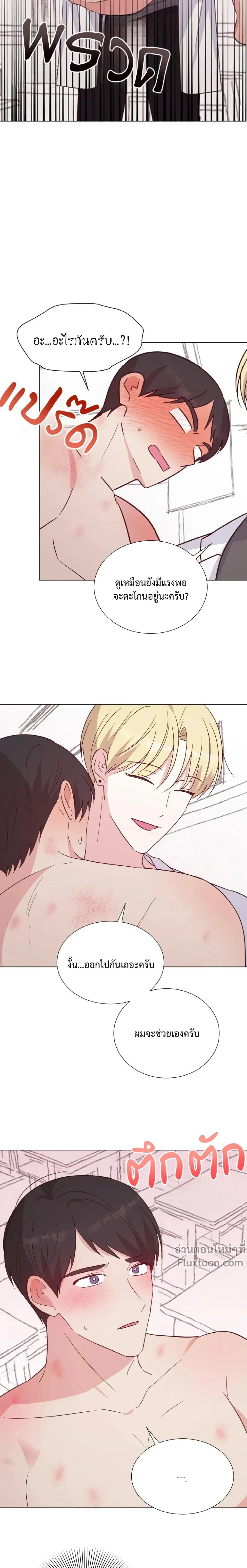 หน้าที่ 17