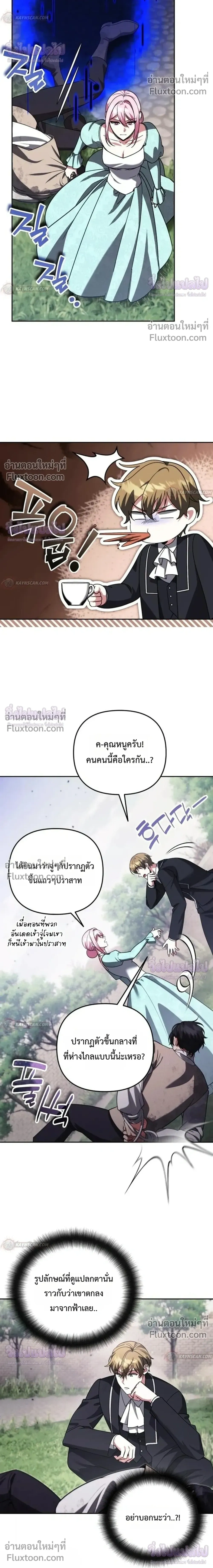 หน้าที่ 29