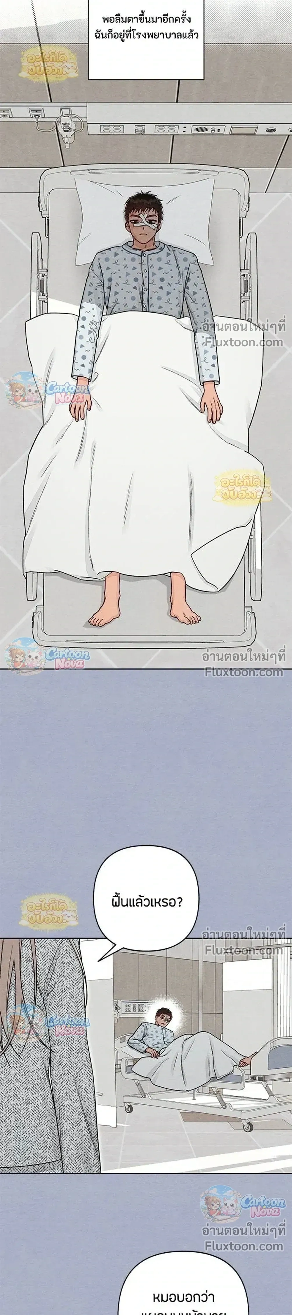 หน้าที่ 3
