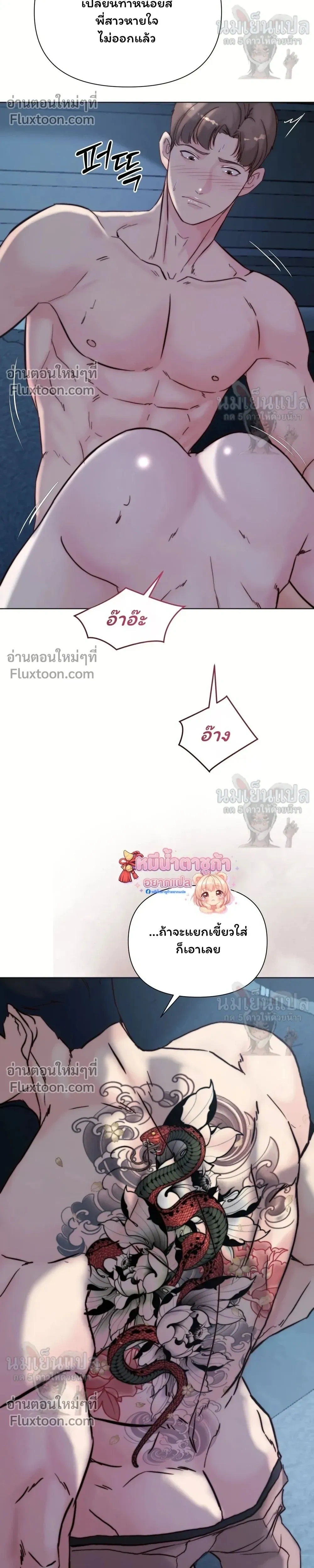 หน้าที่ 17