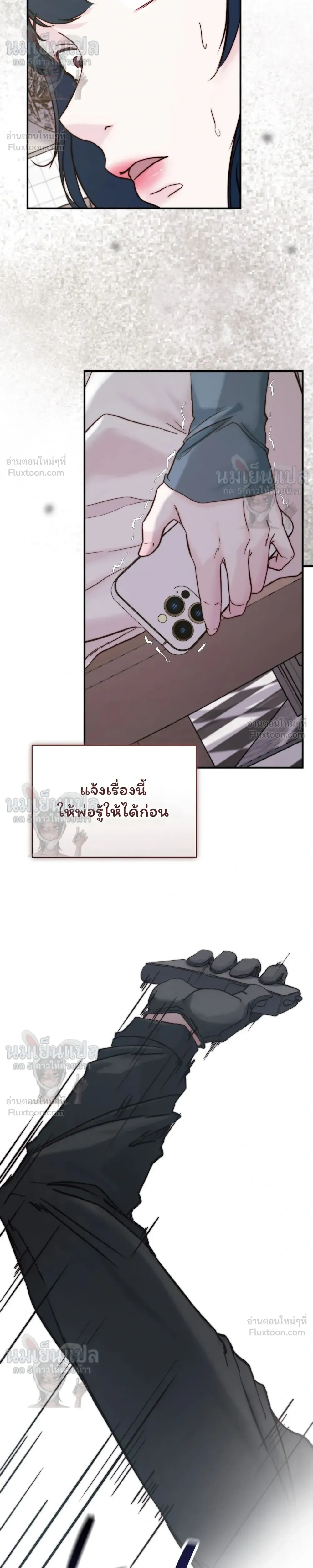 หน้าที่ 17