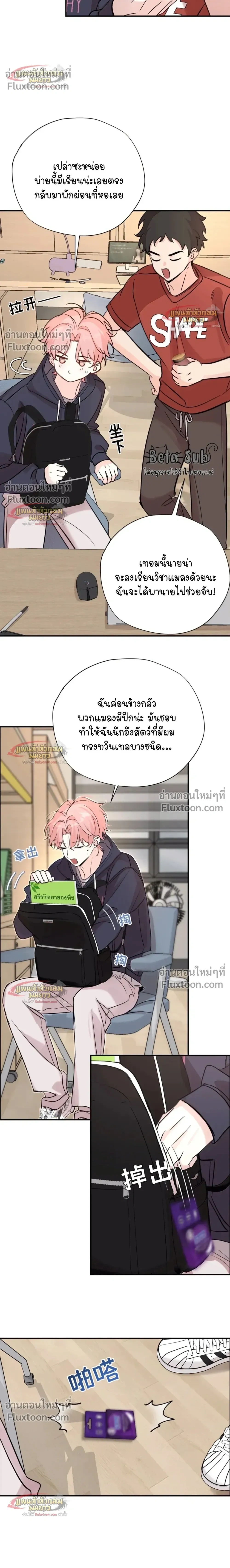 หน้าที่ 6