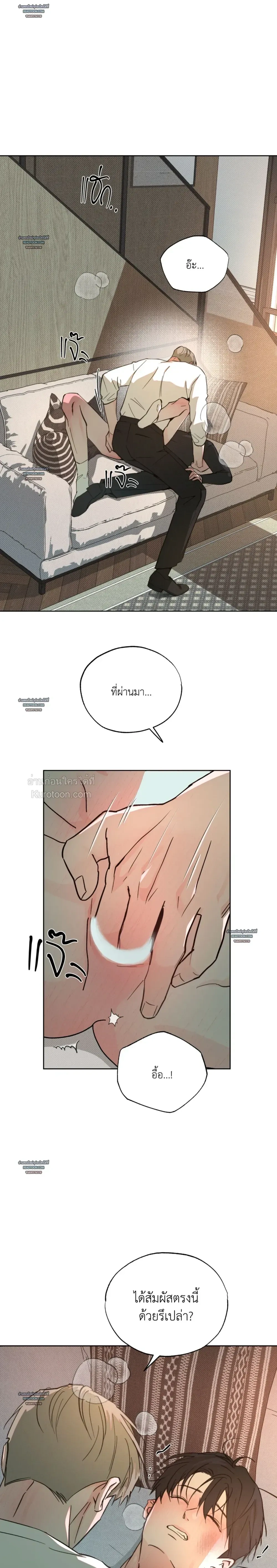 หน้าที่ 11