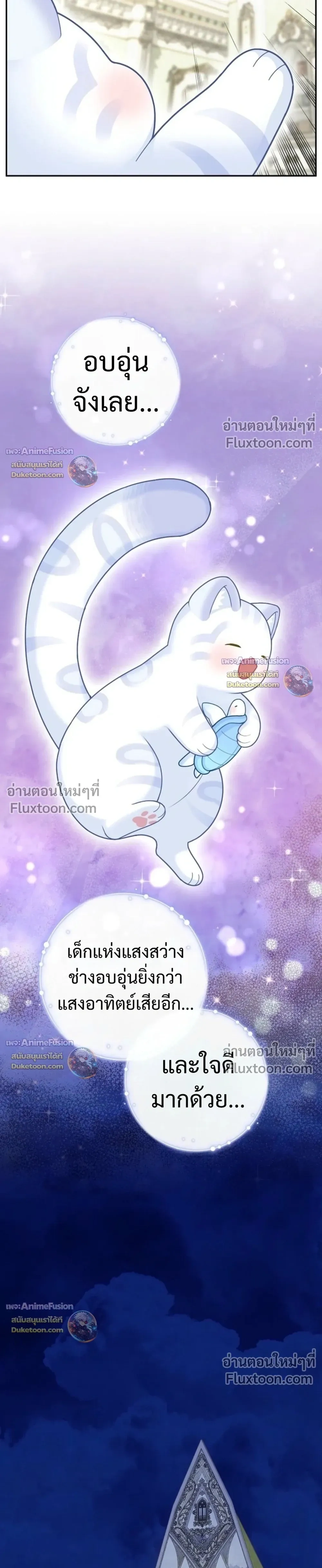 หน้าที่ 31