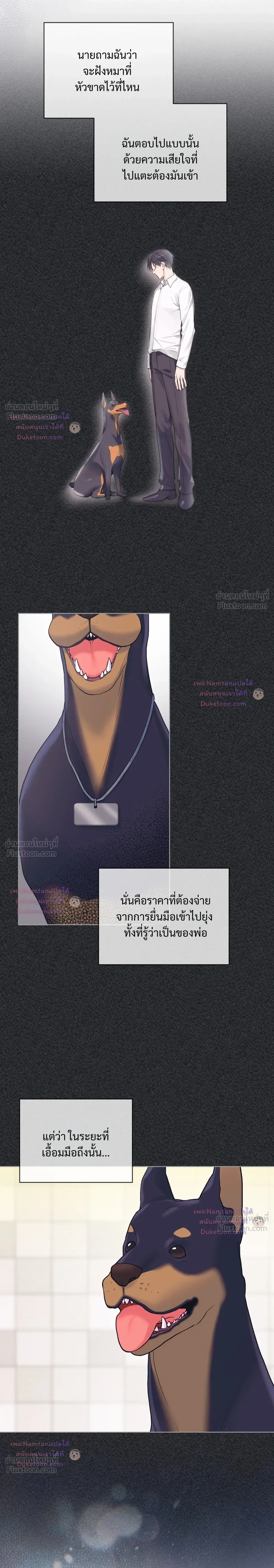 หน้าที่ 17