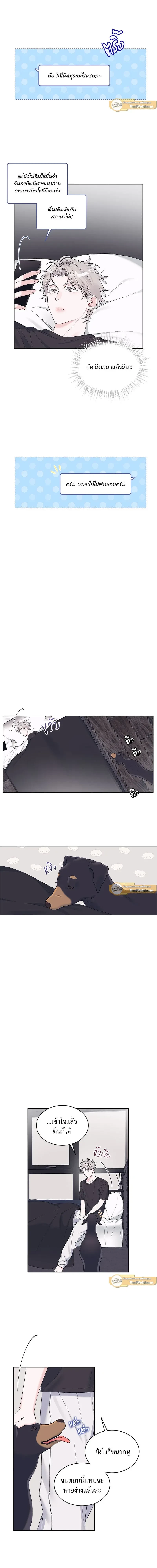 หน้าที่ 6