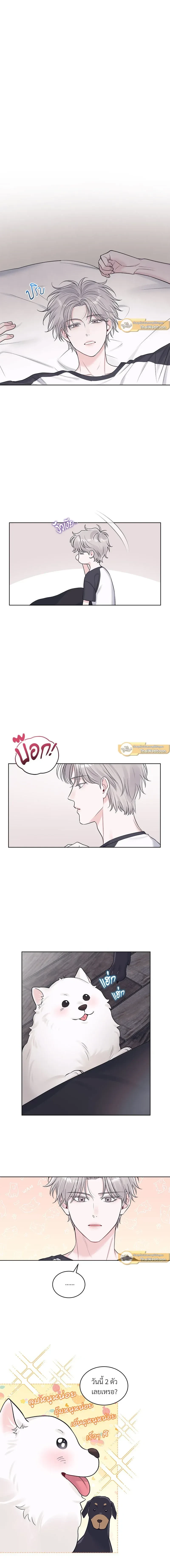 หน้าที่ 6