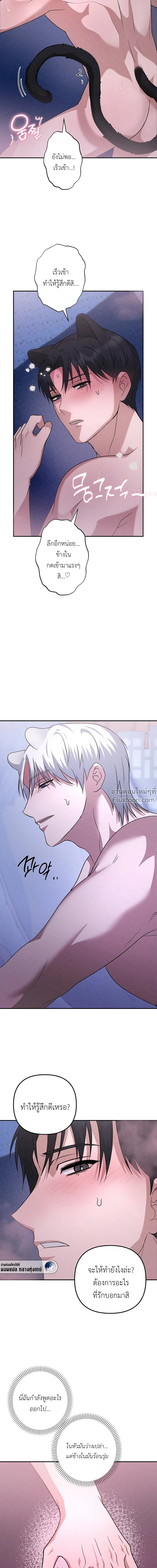 หน้าที่ 12