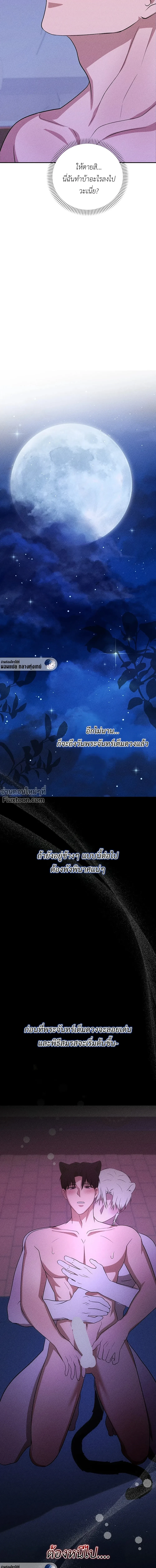 หน้าที่ 30