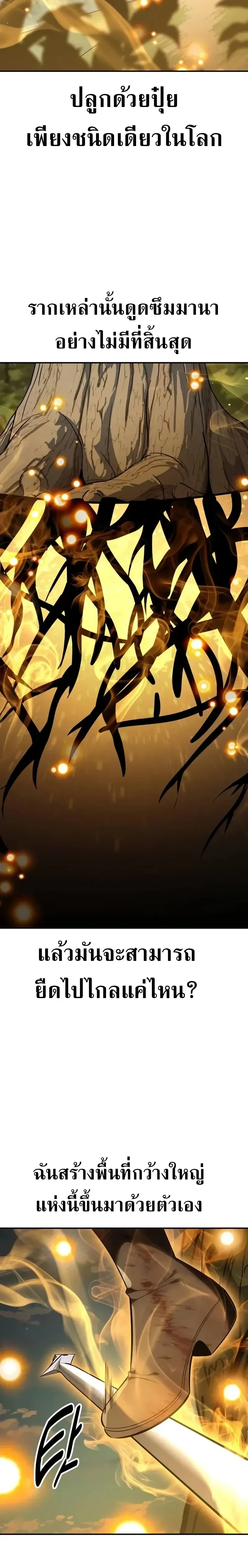 หน้าที่ 36