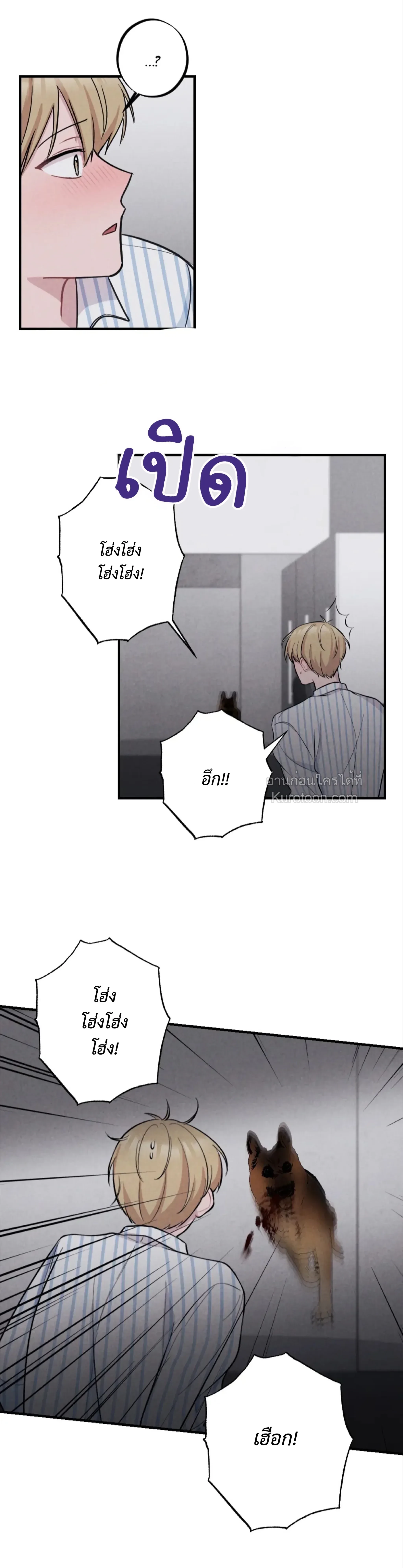 หน้าที่ 17