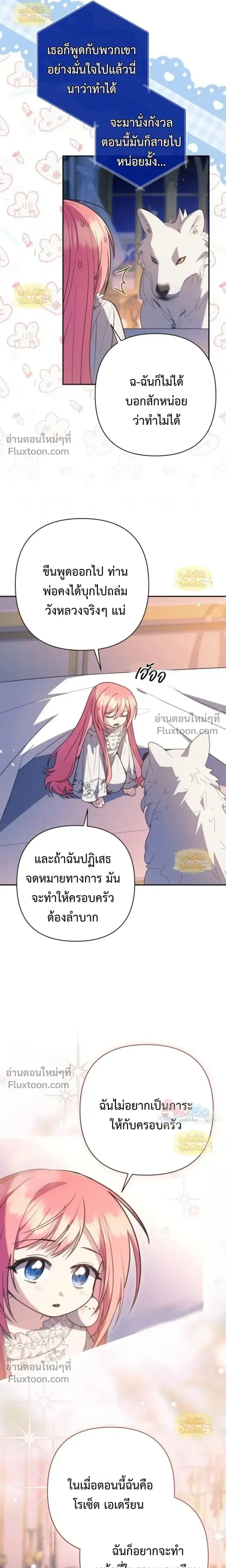 หน้าที่ 17