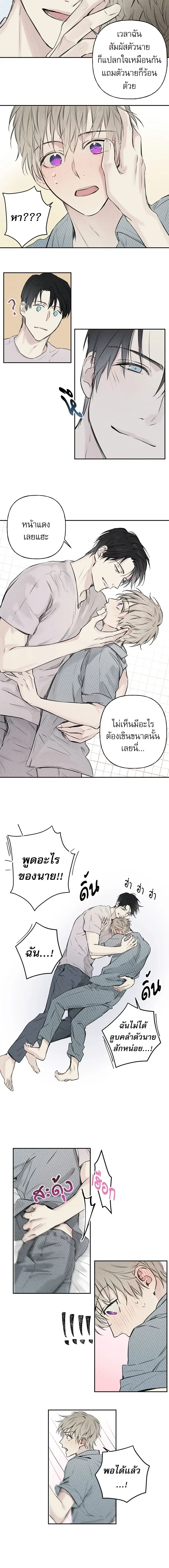 หน้าที่ 4