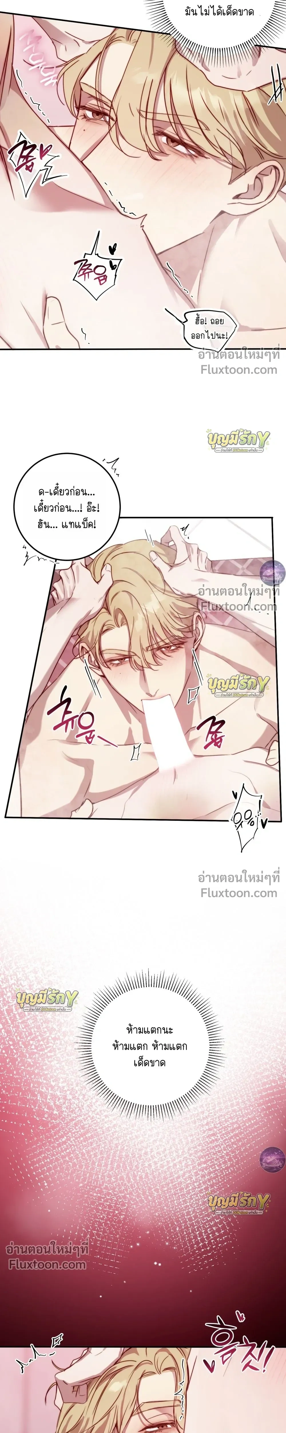 หน้าที่ 11