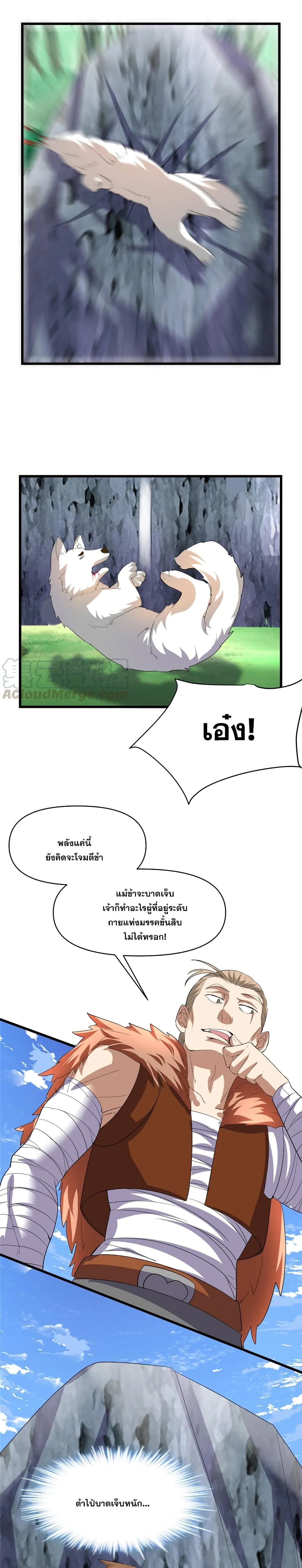 หน้าที่ 11