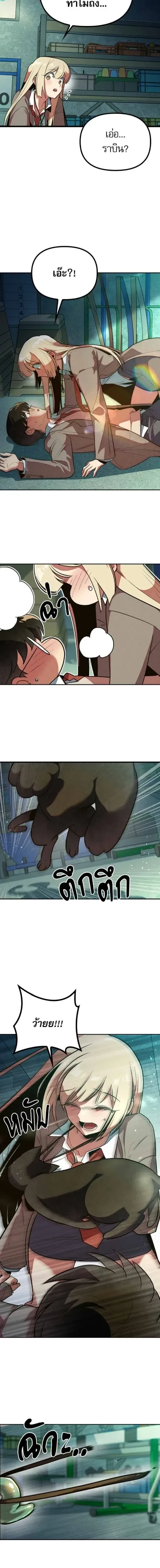 หน้าที่ 17