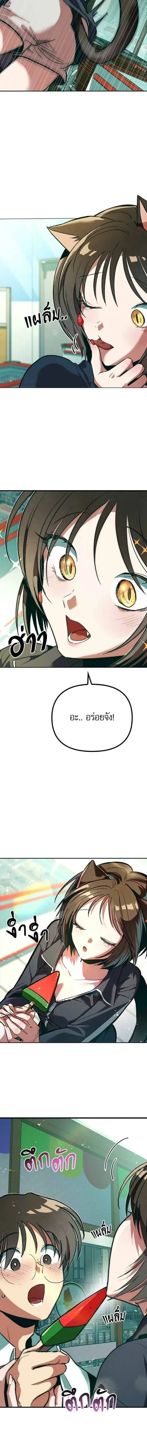 หน้าที่ 29