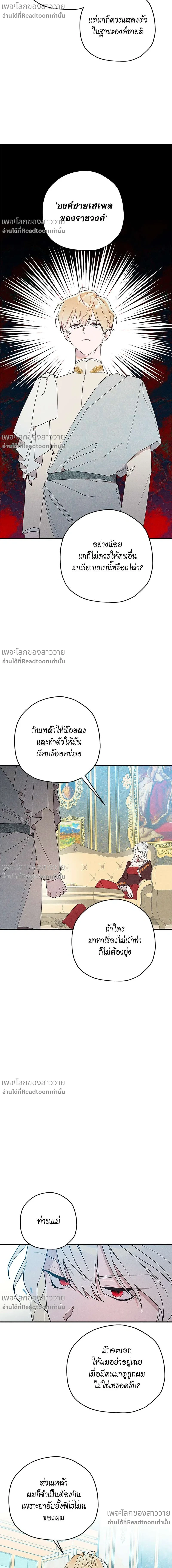 หน้าที่ 17