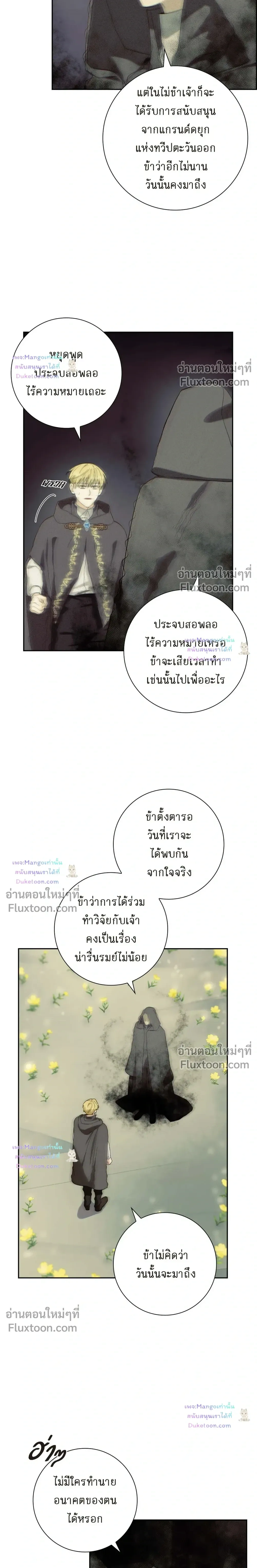 หน้าที่ 13