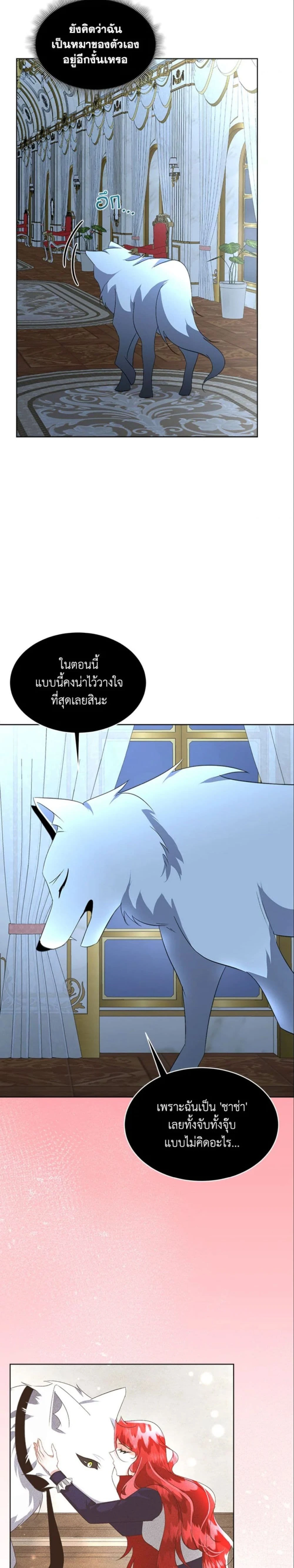 หน้าที่ 19