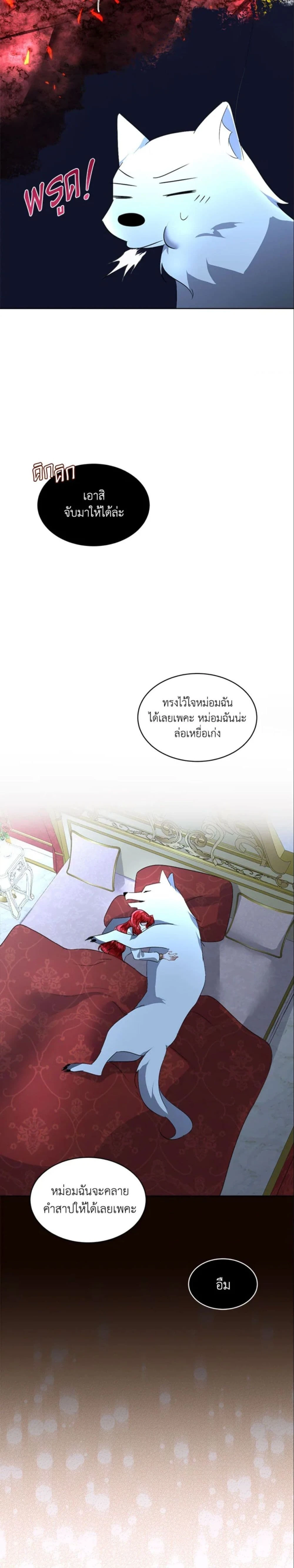 หน้าที่ 17