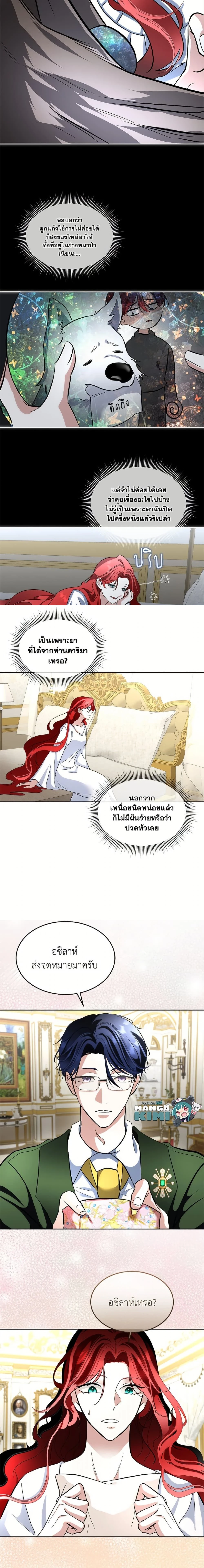 หน้าที่ 13