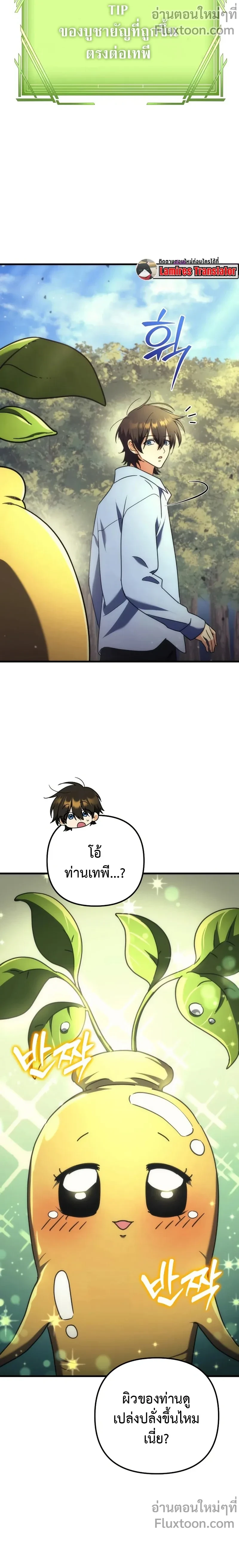 หน้าที่ 13