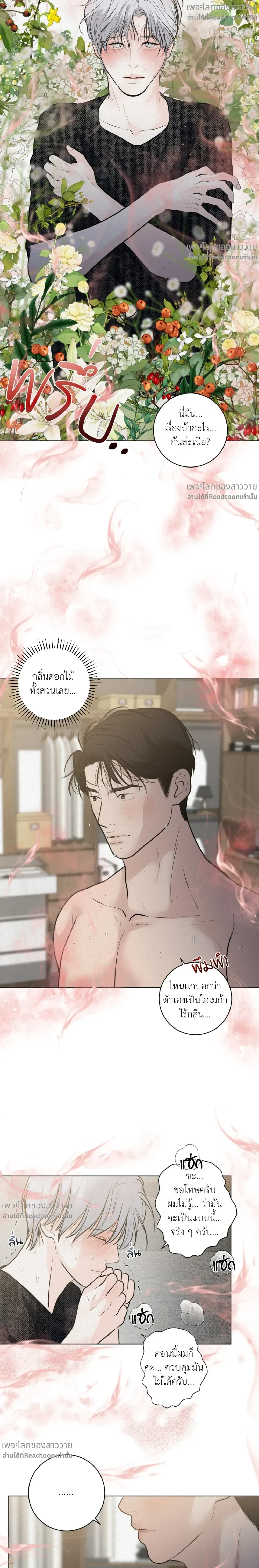 หน้าที่ 17